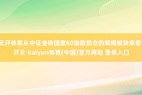 云开体育从中证金砖国度60指数抓仓的阛阓板块来看-开云·kaiyun体育(中国)官方网站 登录入口