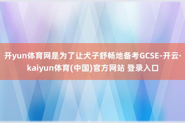 开yun体育网是为了让犬子舒畅地备考GCSE-开云·kaiyun体育(中国)官方网站 登录入口