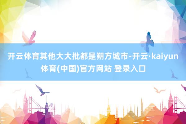 开云体育其他大大批都是朔方城市-开云·kaiyun体育(中国)官方网站 登录入口