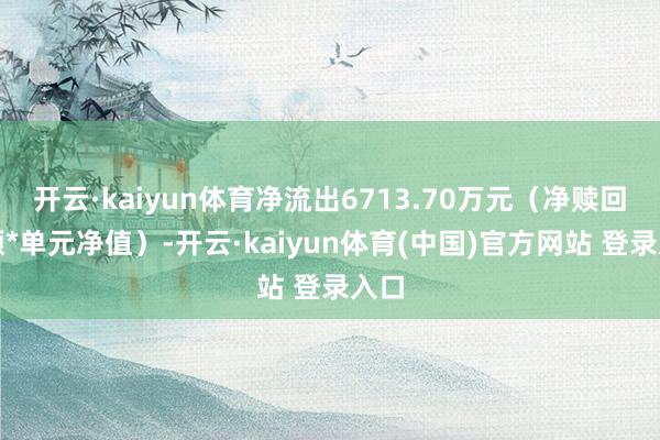 开云·kaiyun体育净流出6713.70万元（净赎回份额*单元净值）-开云·kaiyun体育(中国)官方网站 登录入口