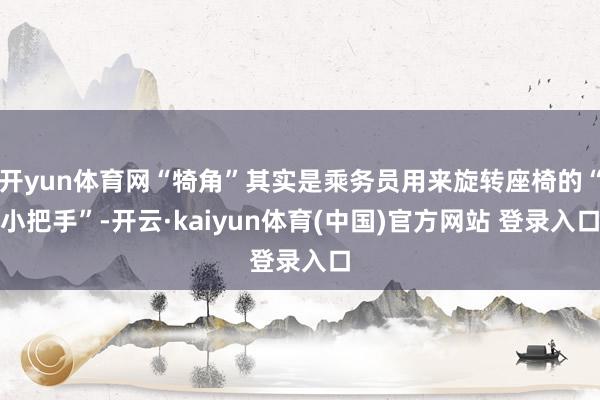 开yun体育网“犄角”其实是乘务员用来旋转座椅的“小把手”-开云·kaiyun体育(中国)官方网站 登录入口